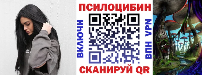 что такое   Юрьевец  Псилоцибиновые грибы Cubensis 
